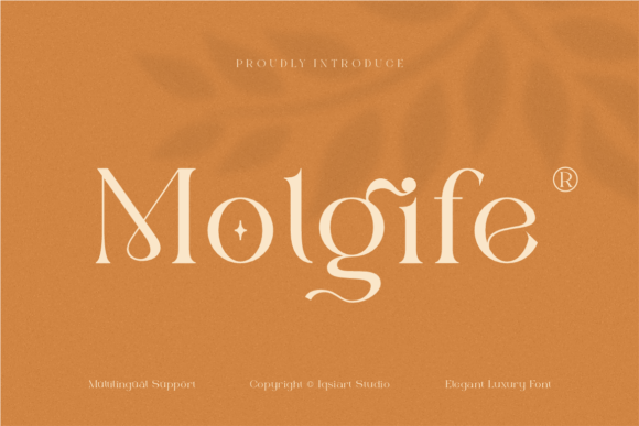 Molgife: A Serif Typeface for Bold Campaigns