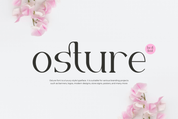 Osture Font Review: A Bold Serif for Branding