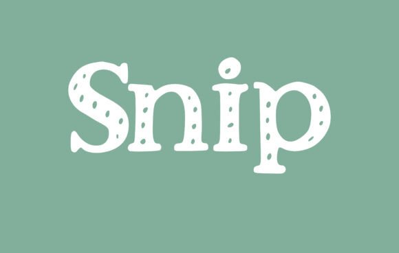 Snip Font Review: A Romantic Serif for Branding