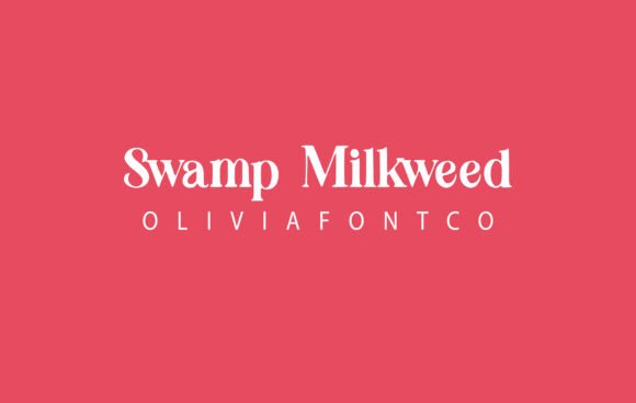 Swamp Milkweed: A Handwritten Serif Font for Branding