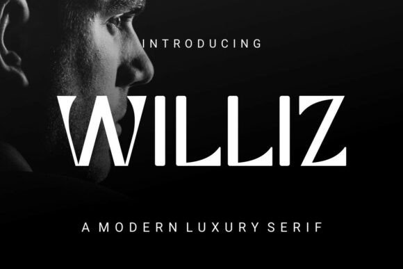 Williz Typeface: Elevate Your Brand with Premium Serif Fonts