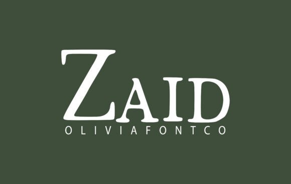 Zaid Font Review: A Romantic Serif for Campaigns